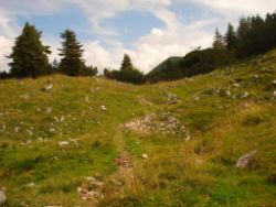 2013-08-25_Risserkogel (107).JPG